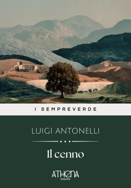 Il cenno